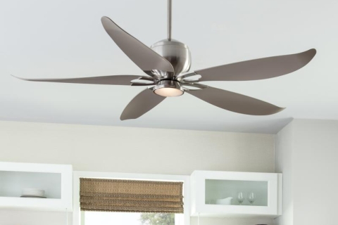 Add a Ceiling Fan for Improved Comfort and Efficiency